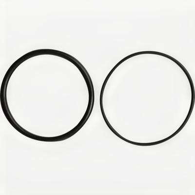 Kp Rvs Uv Quarts O Ring T5 2st-2019