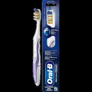 ORALB PROCLEAN PULSAR batterijaangedreven tandenborstel ,1 bij Jumbo