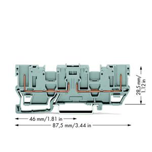 WAGO 769-161 Basisklem 5 mm Spanveer Toewijzing: L Grijs 50 stuk(s)