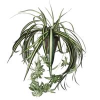 Mica Decorations Kunstplant - graslelie - groen - in pot - 45 cm - hangplanten Mica Decorations Kunstplant - graslelie - groen - in pot - 45 cm - hangplanten