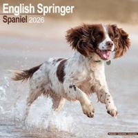 Engelse Springer Spaniel Kalender 2026