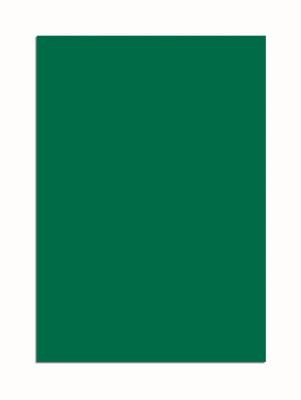 Maul magneetbladen, ft 20 x 30 cm, blister van 1 stuk, groen