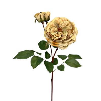 Roberts Collection Kunstbloem roos 55cm creme Roberts Collection Kunstbloem roos 55cm creme