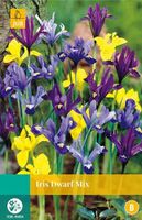 Iris species mix 12 bollen - JUB