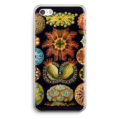 Haeckel Ascidiae: iPhone 5 / 5S / SE Transparant Hoesje