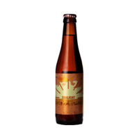 Bier van de Zon Zonlicht 33cl