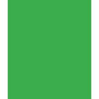 Interfit Chroma Green 2.9m x 6m