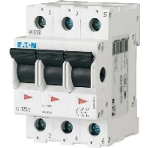 IS-80/3  - Switch for distribution board 80A IS-80/3