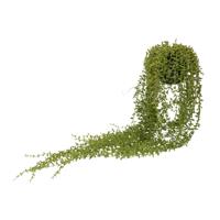 Bellatio Senecio/erwtenplant kunstplant - groen - 70 cm - in hangende pot
