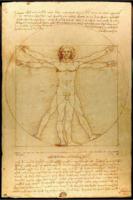 Poster Vitruvian Man 61x91,5cm