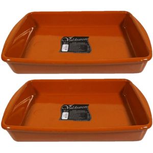 Set van 2x stuks tapas ovenschalen/serveerschalen rechthoekig terracotta Fontein 4 liter