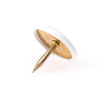 Homefix Punaise Diverse Kleuren | 50 stuks - 6701.30.60020
