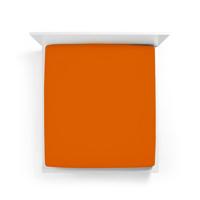 Bella Donna Bella Donna Hoeslaken Jersey Tweepersoons 140x190-160x220 cm Kurkuma-0714