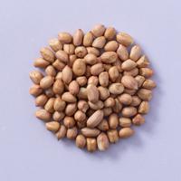 kleine vliespinda&apos;s ongebrand 25 kg doos