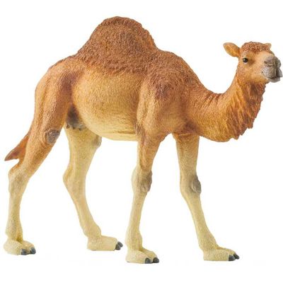 Schleich Wild Life - Dromedaris speelfiguur
