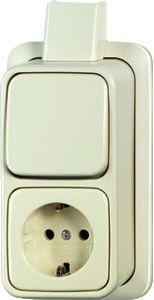 Busch Jaeger opbouw wisselcombinatie met randaarde creme