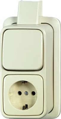 Busch Jaeger opbouw wisselcombinatie met randaarde creme