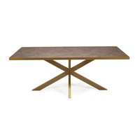 Stalux Eettafel Gijs - goud / lederlook bruin