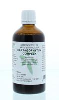 Natura Sanat Harpagophytum complex