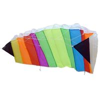 Parafoil Stunter Kite 120x50 met Tas Parafoil Stunter Kite 120x50 met Tas