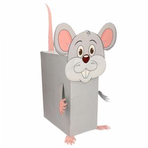 Muis / rat Sinterklaas surprise zelf maken knutselpakket