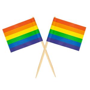 Cocktailprikkers - 100x - regenboog/pride vlag - 50 stuks - 8 cm - vlaggetje decoratie