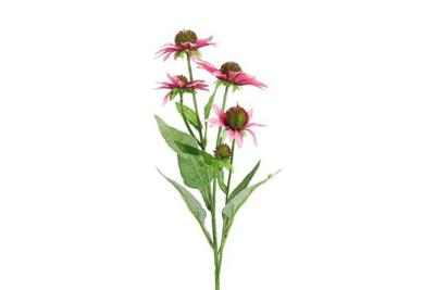 Decostar Echinacea 70 cm roze
