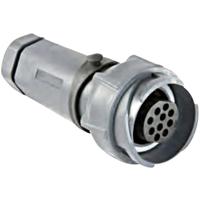 Bulgin PXP7011/32S/CR/0911 Ronde connector Koppeling, recht Totaal aantal polen: 32 Serie (ronde connectoren): Buccaneer 7000 1 stuk(s)