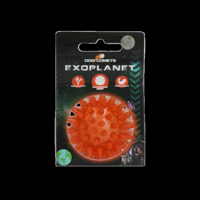 Dog Comets Exoplanet Orange S