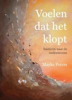 Voelen dat het klopt (Paperback) - thumbnail