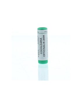 Cochlearia officinalis 200K