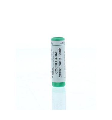 Cochlearia officinalis 200K