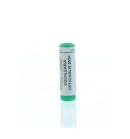 Cochlearia officinalis 200K