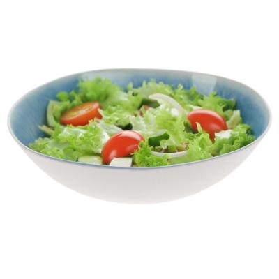 Serveerschaal/saladeschaal - D30 x H9 cm - kunststof - blauw - rond