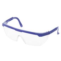 10 PC's buiten veiligheidsbril bril oog bescherming bril tandheelkundige werk Eyewear (Frame blauw witte Lens)