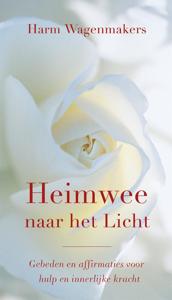 Heimwee naar het licht (Paperback)
