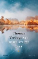 Als je de stilte ziet - Thomas Verbogt - ebook