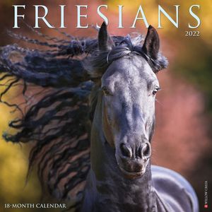 Friese Paarden Kalender 2022