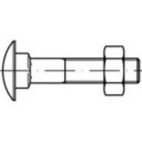 TOOLCRAFT TO-5448282 Platbolschroef M6 40 mm Vierkant DIN 603 Messing 100 stuk(s) - thumbnail