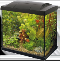 Superfish Start 50 tropical aquarium zwart