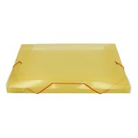 SET 100 TARES DOCUMENT HOLDERS (ORANGE)