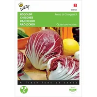 Roodlof Rossa di Chioggia 3