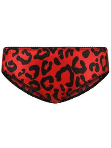 Dolce & Gabbana culotte à motif léopard - Rouge