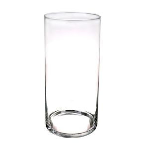 Cilinder vaas/vazen van glas 60 x 19 cm transparant   -