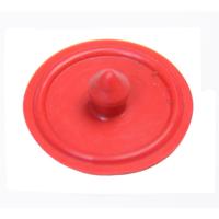 Gloria Membraam vhobby 100