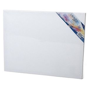 Canvas schildersdoek 50 x 40 cm voor hobby verven/schilderen - Schildersdoeken