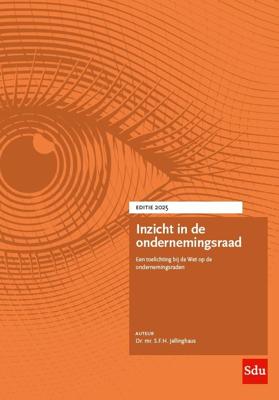 Inzicht in de ondernemingsraad (Paperback)