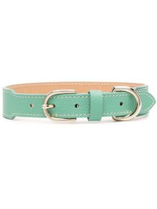 Sporty & Rich collier pour animaux en cuir - Vert