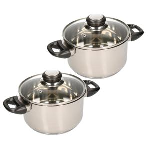 Kookpan met glazen deksel - 2x - diameter 20 cm - RVS - geschikt voor alle hittebronnen
