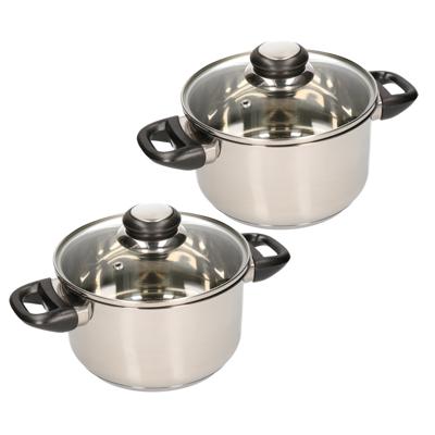 Kookpan met glazen deksel - 2x - diameter 20 cm - RVS - geschikt voor alle hittebronnen